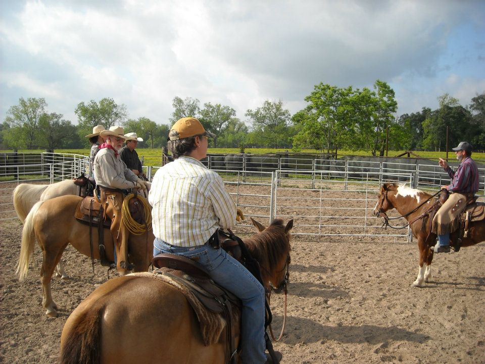 Louisiana Master Horseman program supports industry
